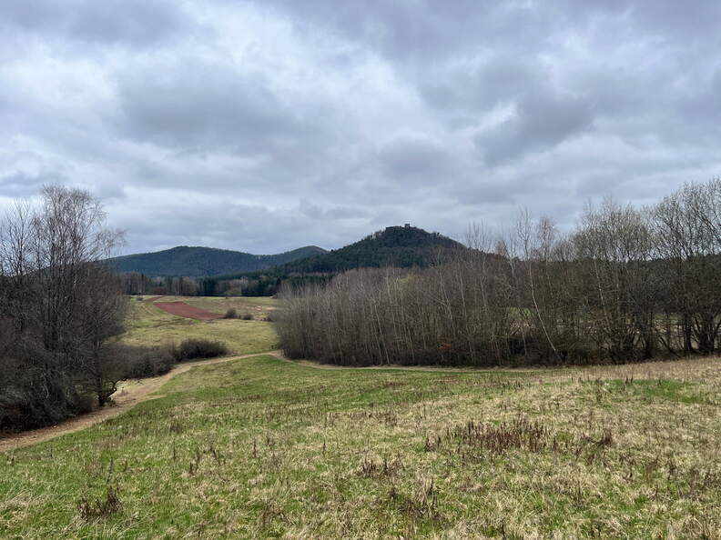 24-03-01 11-44-58 8863